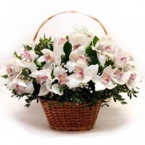 Кошик з білих орхідей 