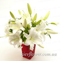 Білі лілії
